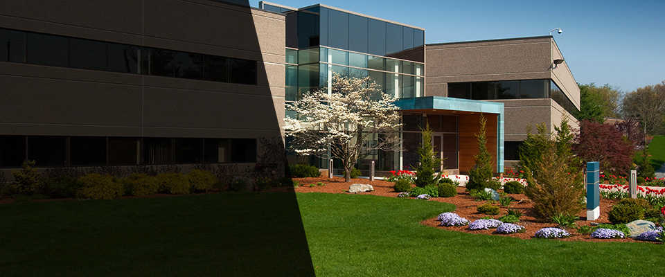 Wilmington Landscapers